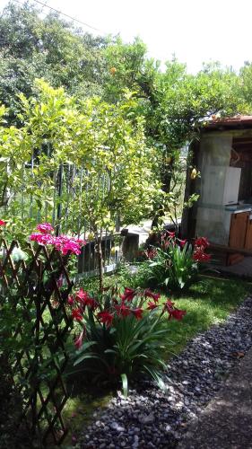  Affittacamere da Rosa in Policastro Bussentino