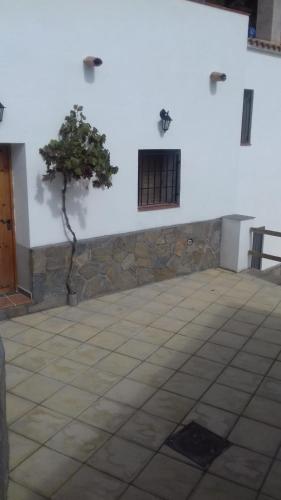 Molino Viejo, Jauca Baja, 04899 El Hijate, Almeria Province Spain
