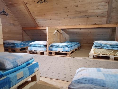 Single Bed in Mixed Dormitory Room