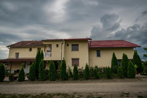 Pensiunea elena in Bors