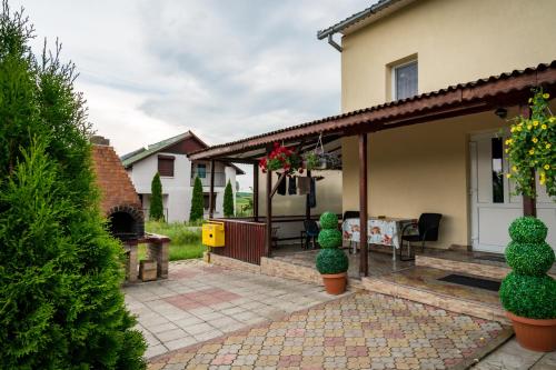 Pensiunea elena in Bors