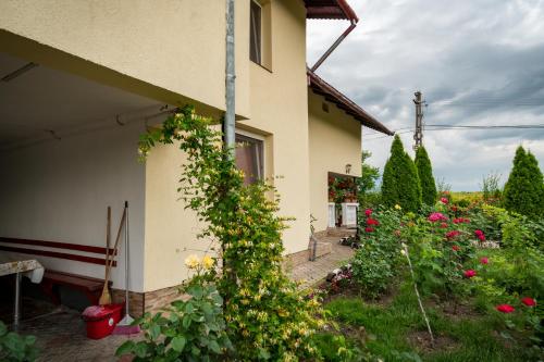 Pensiunea elena in Bors