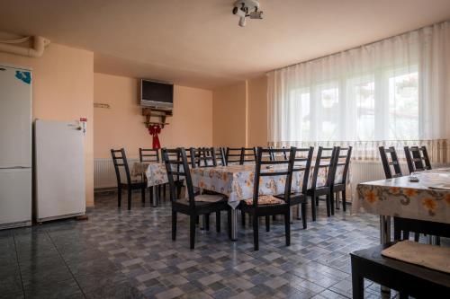 Pensiunea elena in Bors