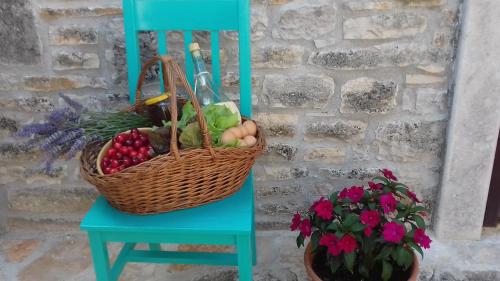 Authentic Istria&pet friendly apartment Banko near Rovinj - Apartment - Kanfanar