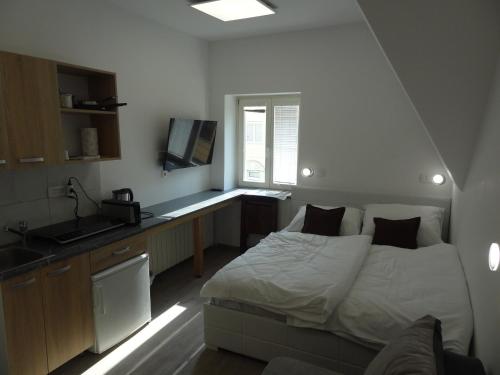 Tabor - Apartments Rozmanova Street, Lubiana (foto 6)