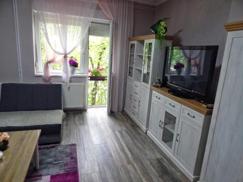 Apartman Centar - Location saisonnière - Bački Petrovac