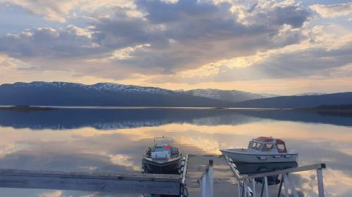 A környék, Tranøya in Skrolsvik