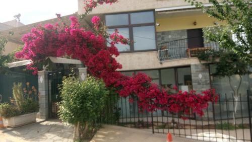 Villa George - Family Holidays