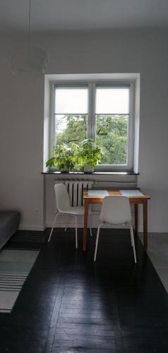 Lovely Bubbly Apartment, Cracovie (photo 6)