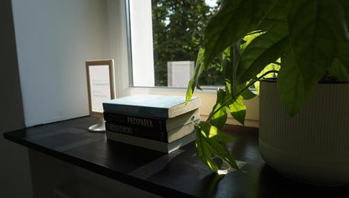 Lovely Bubbly Apartment, Cracovie (photo 3)