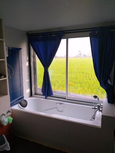 บ้านสวนลองมองดอย Bansuan Longmontdoi บ้านสวนลองมองดอย Bansuan Longmontdoi