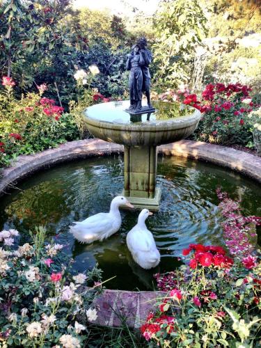 The Inn on Knowles Hill Bed & Breakfast Hotel