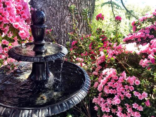 The Inn on Knowles Hill Bed & Breakfast Hotel