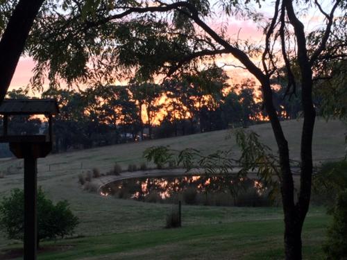 Raynella Alpaca Farmstay