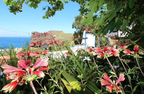 Quinta Do Canavial - image 7