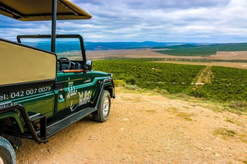 Addo Wildlife