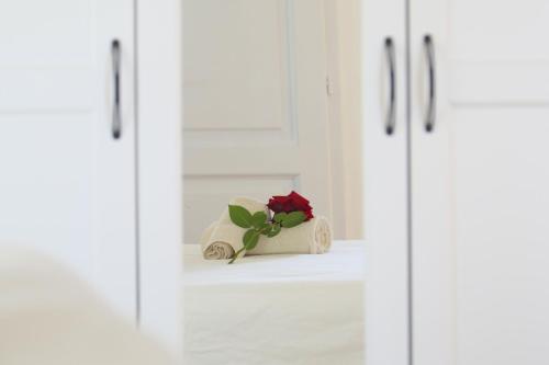 home suite