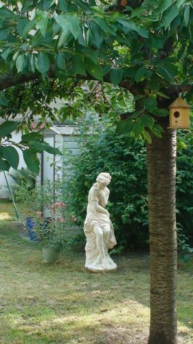 Côté Marne - image 11
