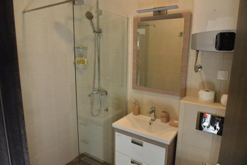 Standard Apartment image 6