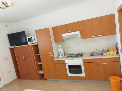 Apartments Vila Ana in Vir