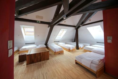 Quarto partilhado, dormitório misto, 12 hóspedes
