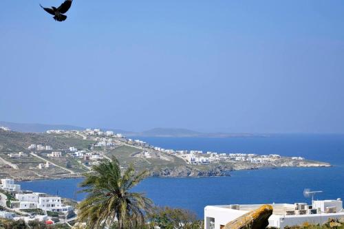  Mykonos escape in Mykonos Stadt