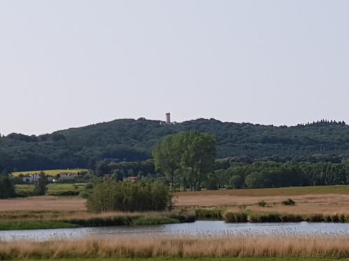 Fewo 1 im Fischerhaus mit Wintergarten und Terrasse, Seedorf (foto 8)