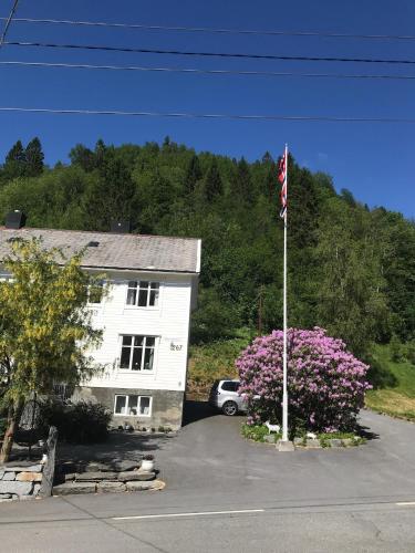 Josygaard - image 6