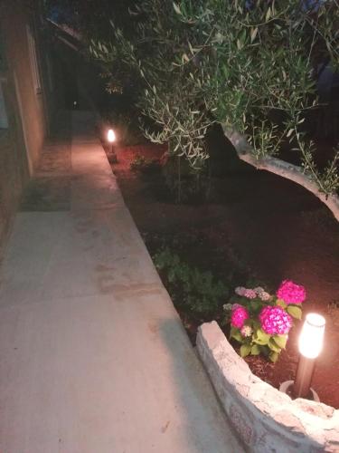  Apartment Pradini in Poljana