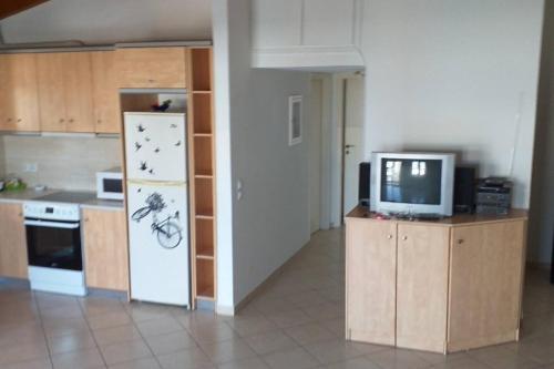  Seafront spacious, new built apartment! (1hr from Athens) in Nea Artaki