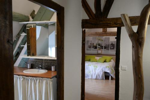 Les Hellebores 123 Sologne gîte à louer Gy-en-Sologne