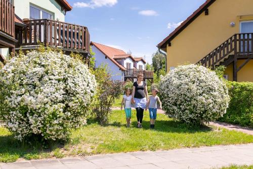 Müritzparadies - Feriendorf Alte Fahrt, Rechlin (fotografie 4)