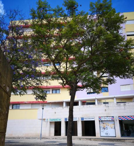  Jardim dos Jacarandás in Lissabon