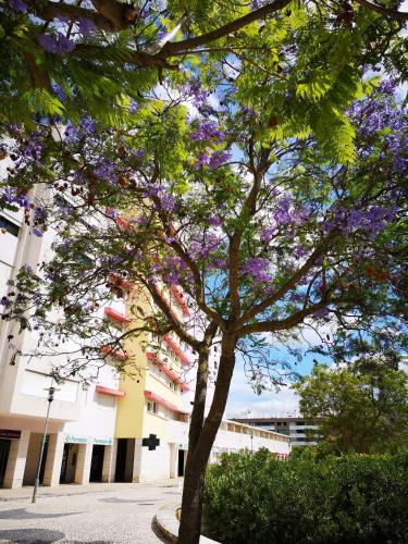  Jardim dos Jacarandás in Lissabon