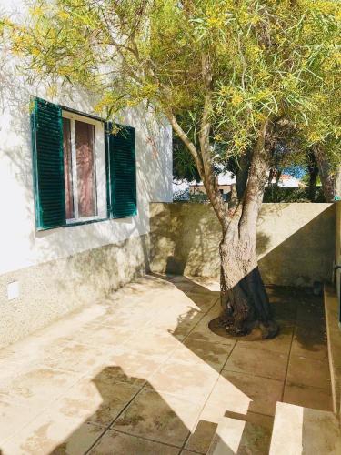  Nearly beach apartment in Porto Santo in Porto Santo