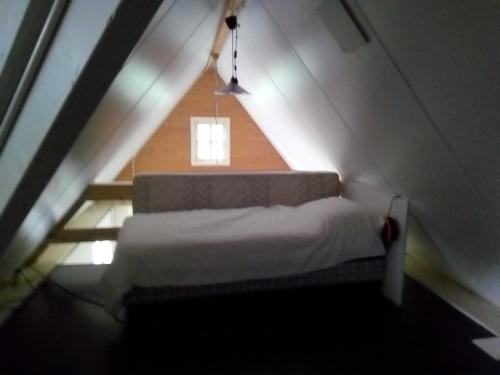 Tinyhouse op Terschelling - image 5