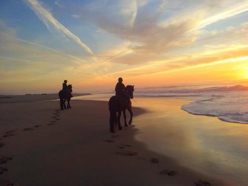 Herdade Do Pessegueiro