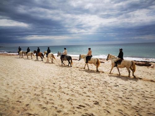 Herdade Do Pessegueiro