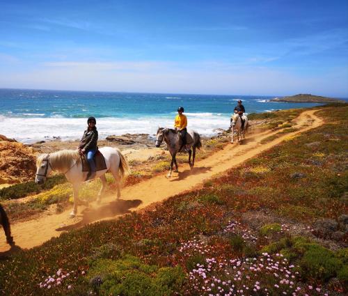 Herdade Do Pessegueiro