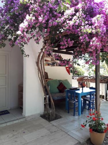 Paradise Gümüşlük