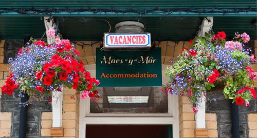 Maes Y Mor - image 3