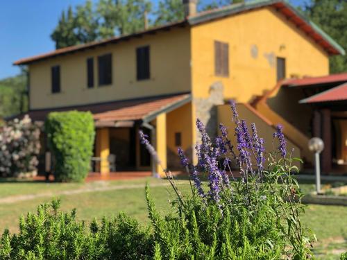  Agriturismo Santa Lorica, Pension in Sassetta bei Frassine