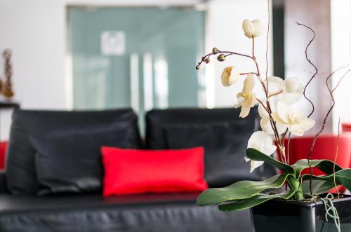 Nautic Hotel & Spa - image 4