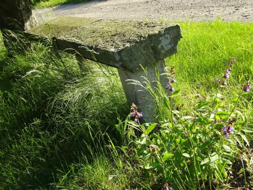 Alte Scheune Rietzschelhof