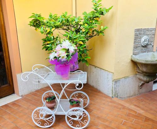 Hotel Signa - image 9