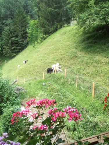 Fuchsbauernhof in Palfau