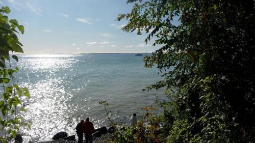 Ostseeblick Sassnitz - image 13