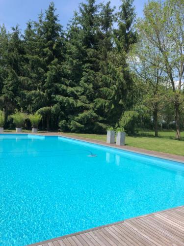 Swimming pool, B&B Otterstee in Havelte