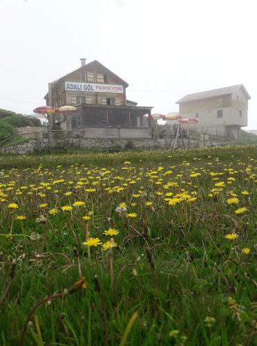  Adalı Göl Pansiyon, Çamlıhemşin bei Gito Yaylasi