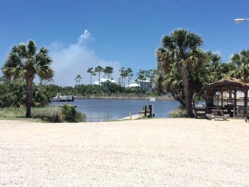 The Cove Unit 217A - image 2